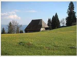 Navigator | Izletište Barice